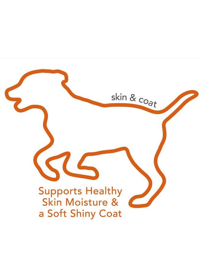Vet's Best Vet's Best Skin & Coat Soft Chew Dog Supplements | Formulated with Vitamin E and Biotin to Maintain Dogs Healthy Skin and Coat | 30 Day Supply  - Image 3