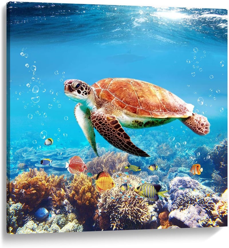 Woxfcart Cute Turtle Picture Decor Wall Art Aquatic Animal Nature Landscape Print on Canvas for Bathroom Kids Room Decorations 12"x12" - Image 1