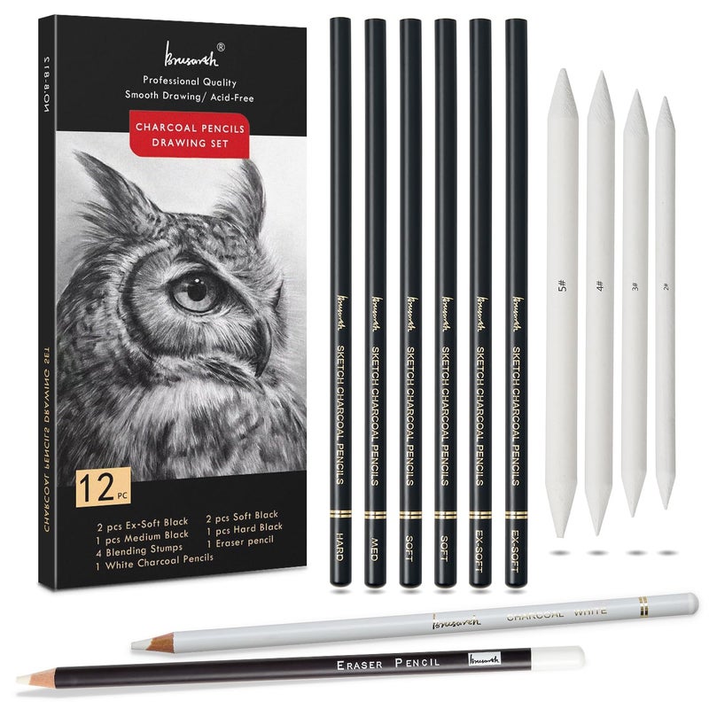 Brusarth Charcoal Drawing Set -12 pc Black charcoal pencils, White Charcoal Pencils, Eraser Pencils, Blending Stumps for Drawing, Sketching, Shading, Artist Pencils for Beginners & Artists - Image 1