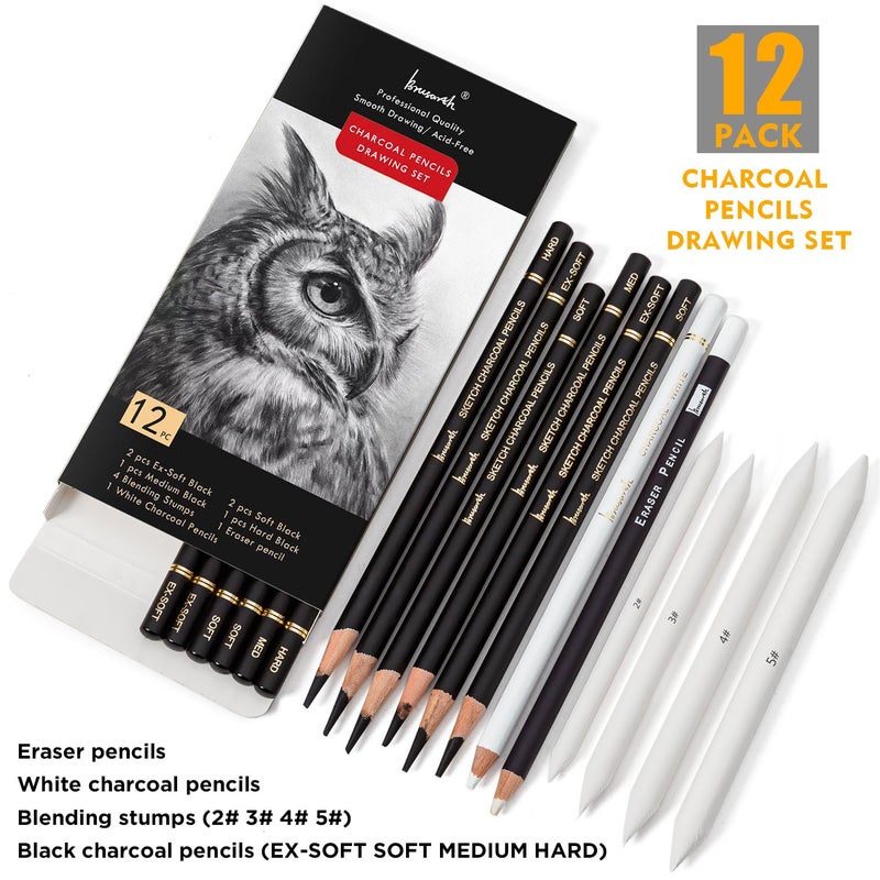 Brusarth Charcoal Drawing Set -12 pc Black charcoal pencils, White Charcoal Pencils, Eraser Pencils, Blending Stumps for Drawing, Sketching, Shading, Artist Pencils for Beginners & Artists - Image 2