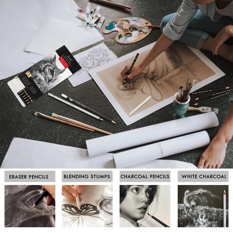 Brusarth Charcoal Drawing Set -12 pc Black charcoal pencils, White Charcoal Pencils, Eraser Pencils, Blending Stumps for Drawing, Sketching, Shading, Artist Pencils for Beginners & Artists - Image 5
