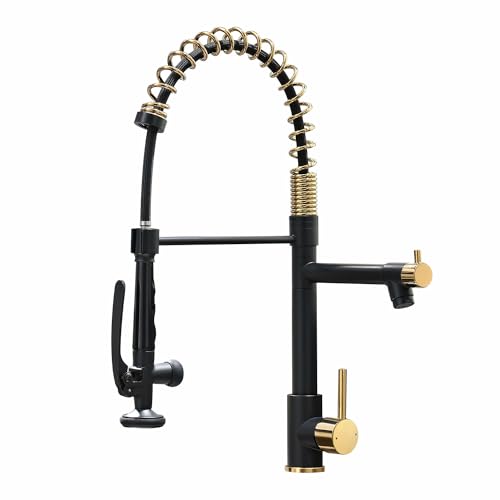 Fapully Black&Gold Kitchen Faucet with Sprayer,Commercial Pull Down Kitchen Faucet for Kitchen Sink - Image 1