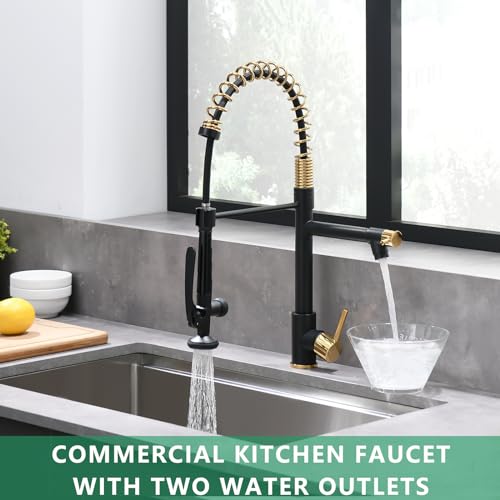 Fapully Black&Gold Kitchen Faucet with Sprayer,Commercial Pull Down Kitchen Faucet for Kitchen Sink - Image 3