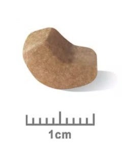 ROYAL CANIN Dry food for small Shih Tzu 1.5 kg  - Image 3