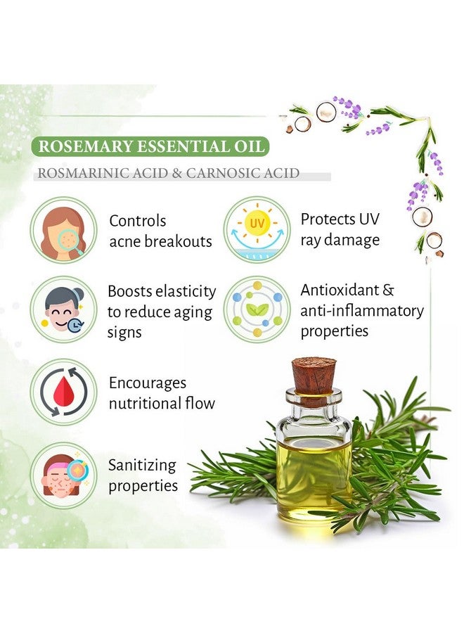 KEYA SETH AROMATHERAPY, DEVICE OF DROP Keya Seth Aromatherapy Rosemary Lavender Coconut Body Oil, Glowing Skin, Moisturizing Refreshing Aroma, Non Sticky Anti Aging, Essential Oil 200ml - Image 3