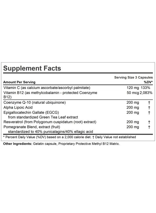 Andrew Lessman Andrew's Five Favorites 60 Capsules – Provides 200mg Each of Coenzyme Q-10, Resveratrol, EGCG, Pomegranate and Alpha Lipoic Acid, Powerful Anti-Oxidant Support, No Additives - Image 2