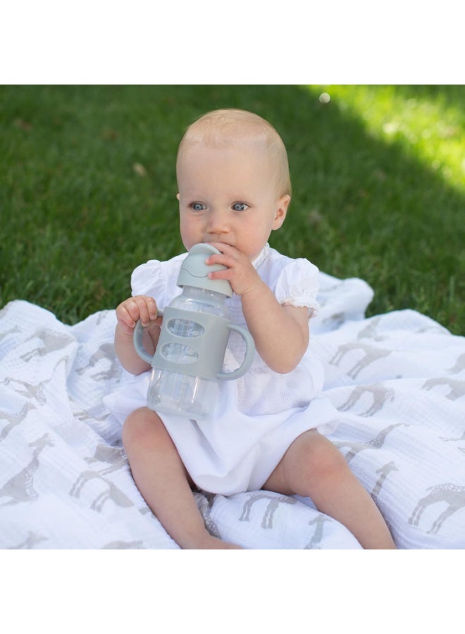 Dr. Brown's Dr. Brown's Milestones Wide-Neck Sippy Straw Bottle with 100% Silicone Handles and Weighted Straw, 9 oz/270 mL, Gray, 6m+  - Image 4