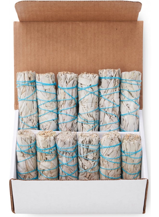 BLUE RIVER SAGE 12 Pack White Sage ~ Sage Smudge Sticks for Smudging & Cleansing Energy ~ Bulk/Wholesale ~ Sustainably Grown (12 Pack) - Image 1