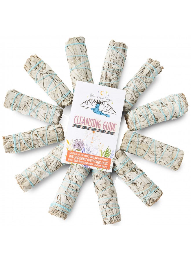 BLUE RIVER SAGE 12 Pack White Sage ~ Sage Smudge Sticks for Smudging & Cleansing Energy ~ Bulk/Wholesale ~ Sustainably Grown (12 Pack) - Image 2