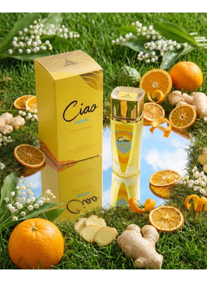 Paris Corner Ciao Citrus 100ml EDP - Image 3