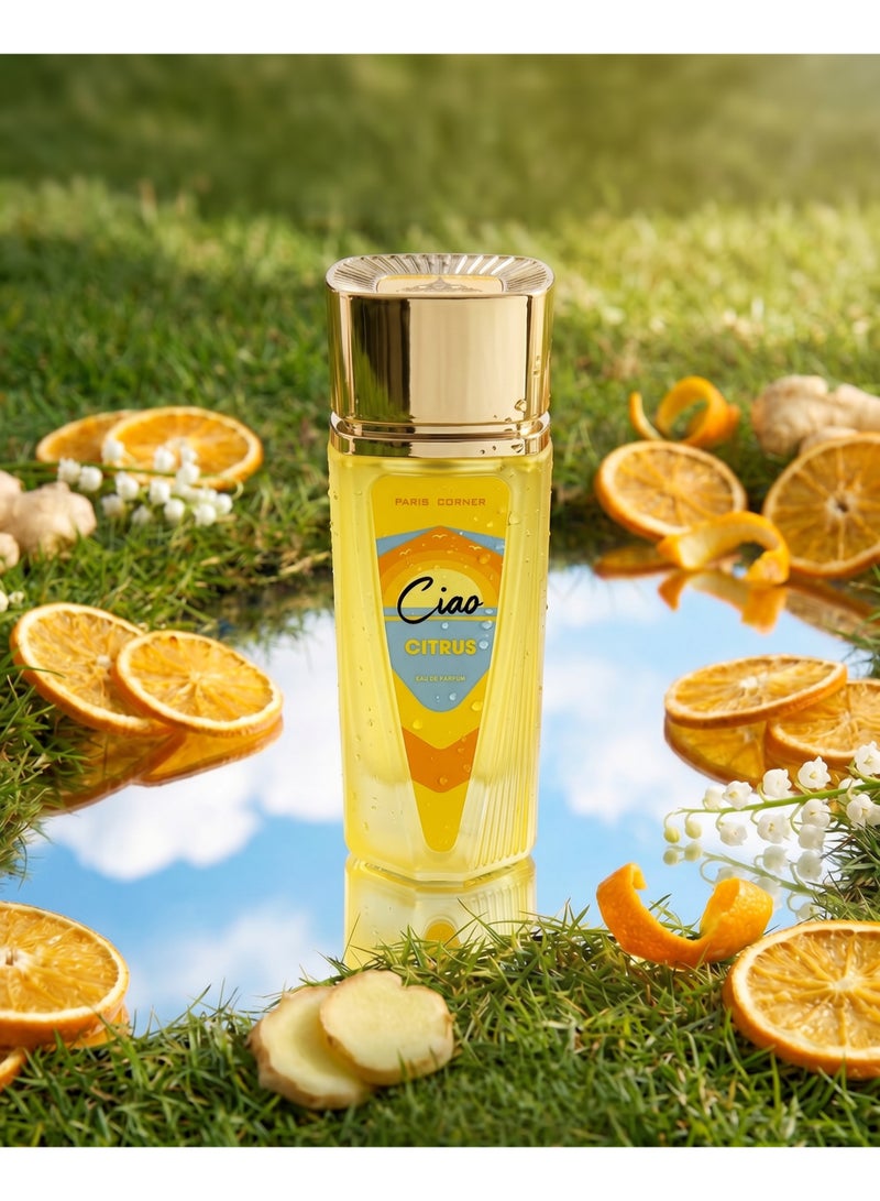 Paris Corner Ciao Citrus 100ml EDP - Image 4
