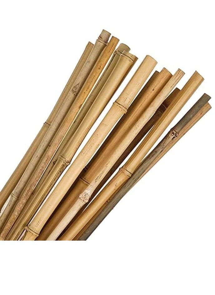 HOME TASTE - TOMSUN 60 Cm 10 Pcs Natural Bamboo Plant Support Stakes: Versatile Floral and Garden Wooden Sticks for Indoor and Outdoor Plants - Image 1