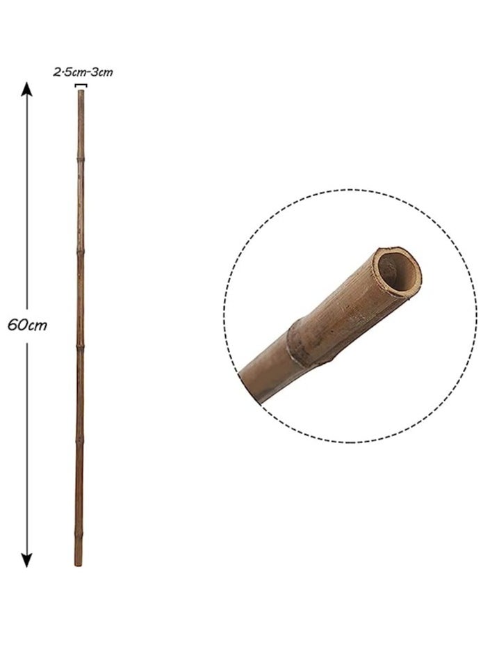 HOME TASTE - TOMSUN 60 Cm 10 Pcs Natural Bamboo Plant Support Stakes: Versatile Floral and Garden Wooden Sticks for Indoor and Outdoor Plants - Image 1