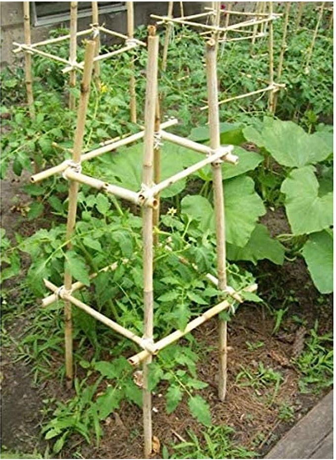 HOME TASTE - TOMSUN 60 Cm 10 Pcs Natural Bamboo Plant Support Stakes: Versatile Floral and Garden Wooden Sticks for Indoor and Outdoor Plants - Image 1