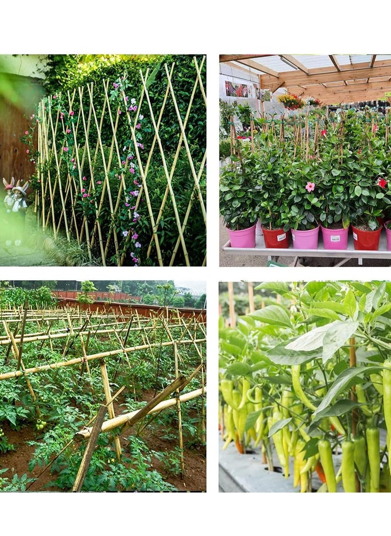 HOME TASTE - TOMSUN 60 Cm 10 Pcs Natural Bamboo Plant Support Stakes: Versatile Floral and Garden Wooden Sticks for Indoor and Outdoor Plants - Image 1
