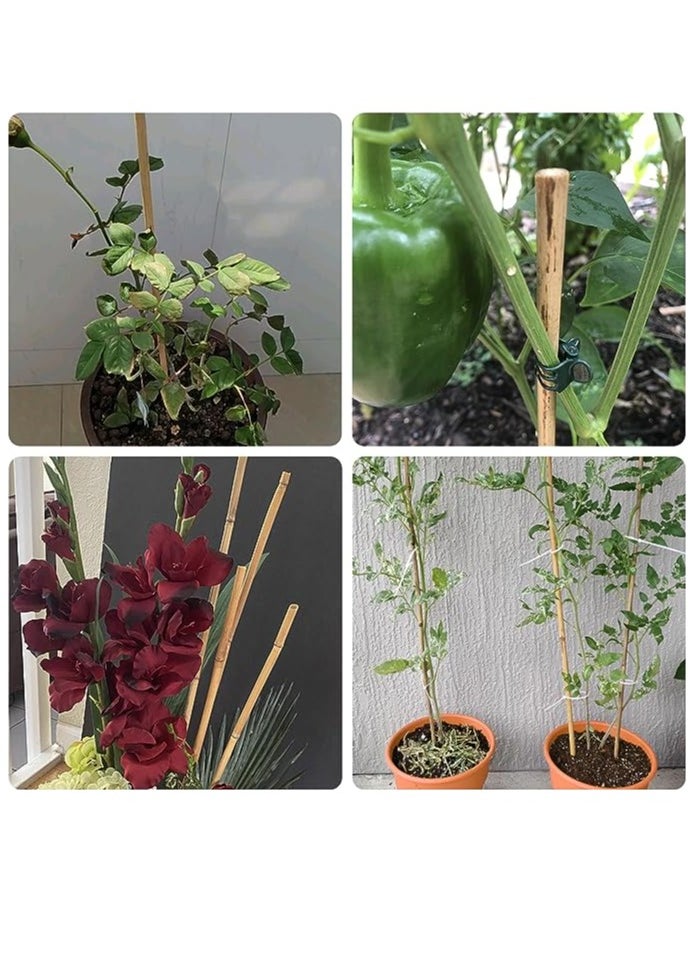 HOME TASTE - TOMSUN 60 Cm 10 Pcs Natural Bamboo Plant Support Stakes: Versatile Floral and Garden Wooden Sticks for Indoor and Outdoor Plants - Image 1