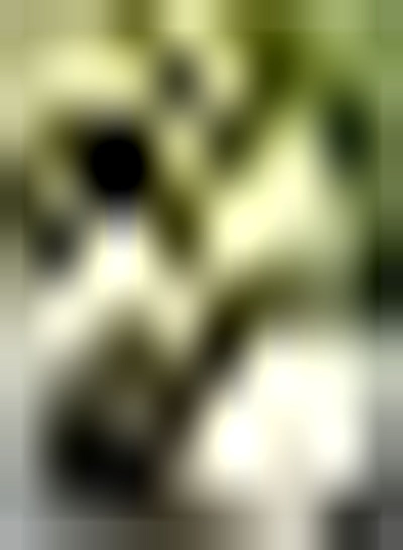 GGOOT 20Stück Annona Samen Zuckerapfel Fruchtsamen frische mehrjährige Frucht einzigartige Form weiches süßes saftiges Fruchtfleisch das von Züchtern das ganze Jahr über geliebt Wird bereichern Sie Ihren - Image 1