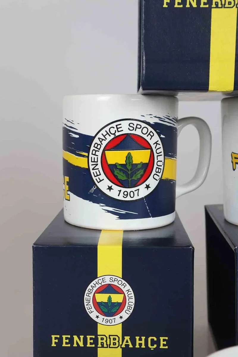 Fenerbahçe NEW SEASON LICENSED SINGLE TROPHY