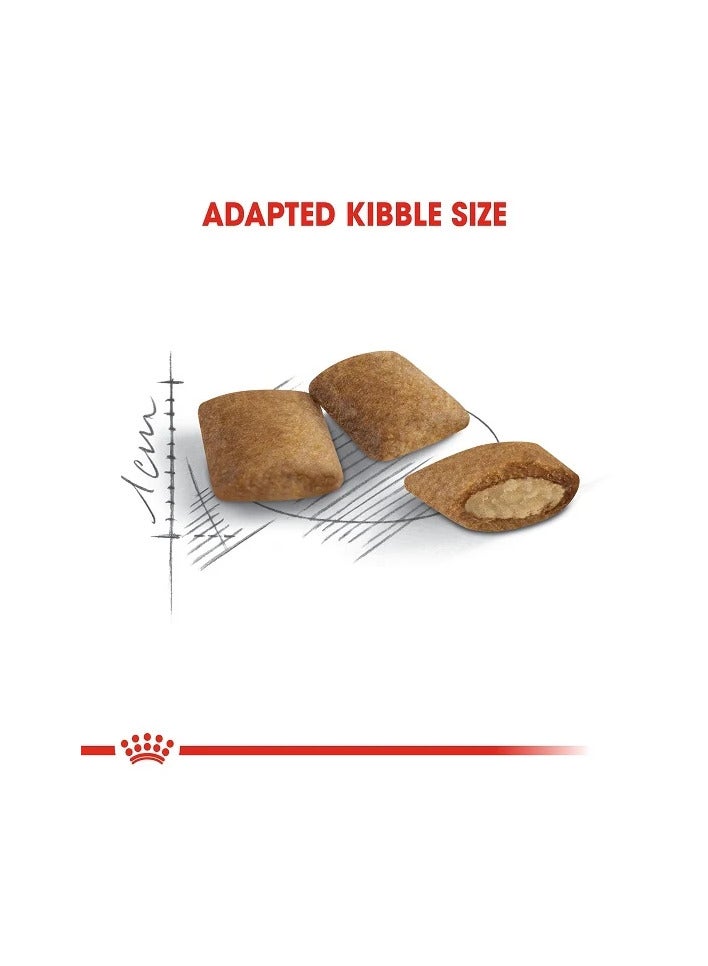 رويال كانين طعام جاف رويال كانين لدعم نمو القطط المسنة (12+ سنوات)، 2 كجم - Image 3