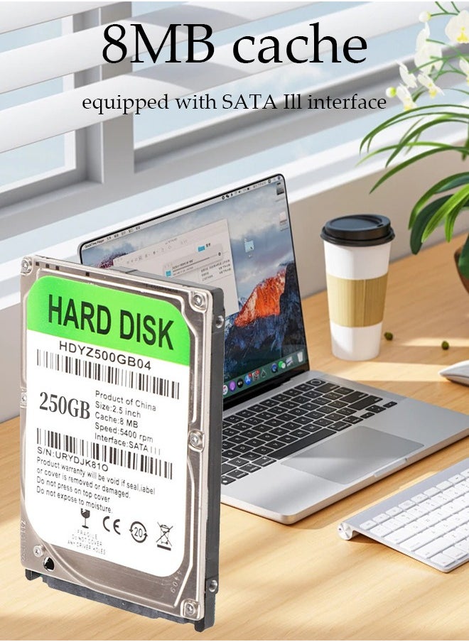 DUNISO - Laptop hard drive, built in mechanical hard drive, suitable for laptops, car surveillance, game consoles, 8MB cache, 5400PRM, 2.5 inch (250GB) - Image 1