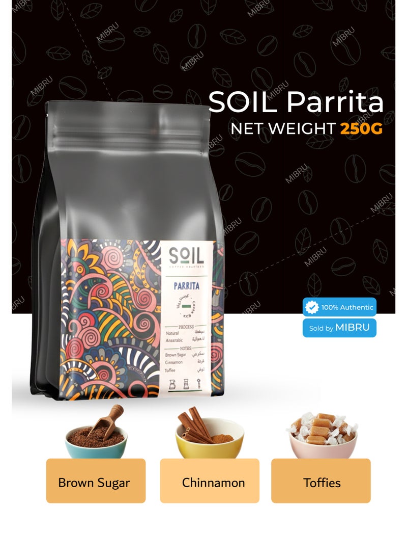 SOIL Coffee bean Costa Rica Parrita Anaerobic Dryer for Espresso And Filter Corps 250G Unground roasted coffee beans for specialty coffee - Whole Beans - Image 2
