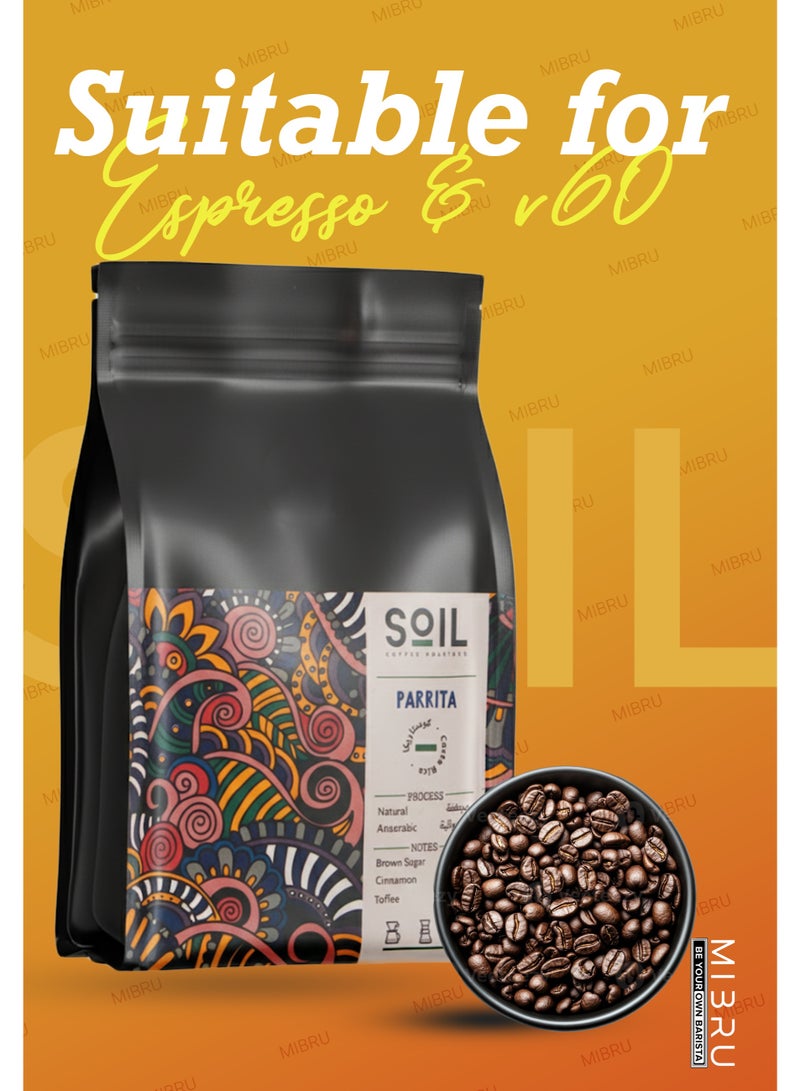 SOIL Coffee bean Costa Rica Parrita Anaerobic Dryer for Espresso And Filter Corps 250G Unground roasted coffee beans for specialty coffee - Whole Beans - Image 3