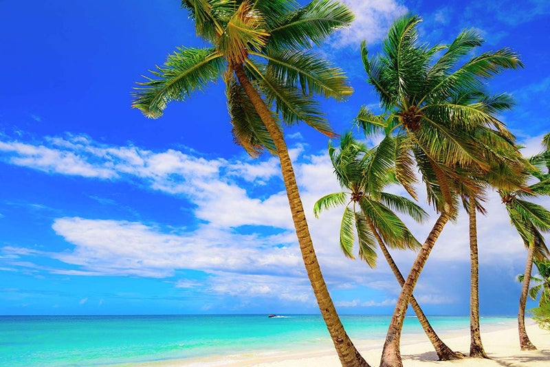 US Organic Fractionated Coconut MCT Oil (Liquid Coconut Oil), USDA Certified Organic, Non-GMO, Perfect for massage, carrier oil for DIY blends, Hair, Skin care. 100% Pure, Hexane-Free (8 oz) - Image 5