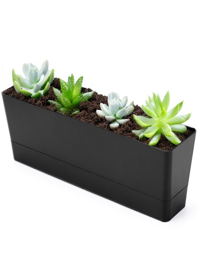 Greaner Flower Boxes with Removable Trays and Drainage Holes, 1PCS 16x3.8 Inch Herb Planter, Succulent Flower Rectangle Plastic Pot for Balcony, Office, Windowsill, Garden, Indoor Outdoor Use - Black - Image 1