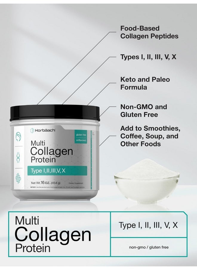 Horbaach Horbäach Multi Collagen Protein Powder 16 oz | Type I, II, III, V, X | Hydrolyzed Collagen Peptide Powder | Keto & Paleo Friendly | Unflavored & Gluten Free  - Image 4