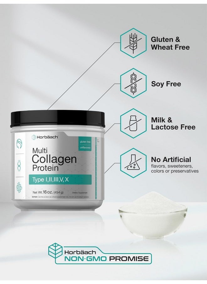 Horbaach Horbäach Multi Collagen Protein Powder 16 oz | Type I, II, III, V, X | Hydrolyzed Collagen Peptide Powder | Keto & Paleo Friendly | Unflavored & Gluten Free  - Image 5