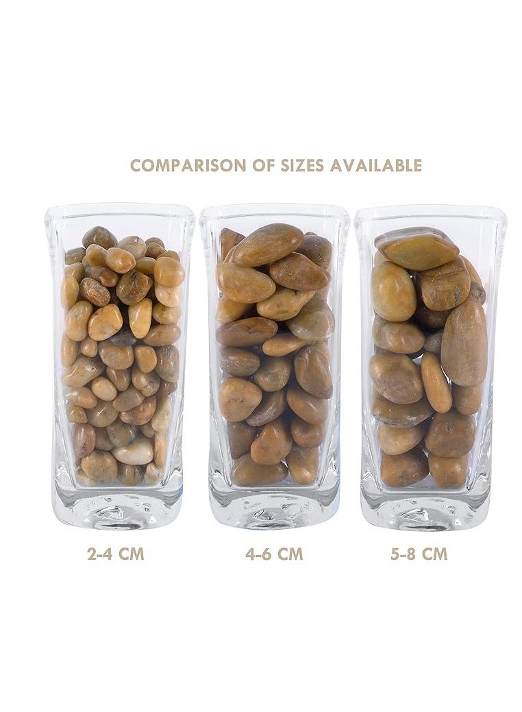 Home zone River Rocks Pebbles for Plants Natural Decorative Polished Stones for Planters Succulent Rocks Aquarium Gravel (5 lb Bag)(2.25KG)  - Image 4