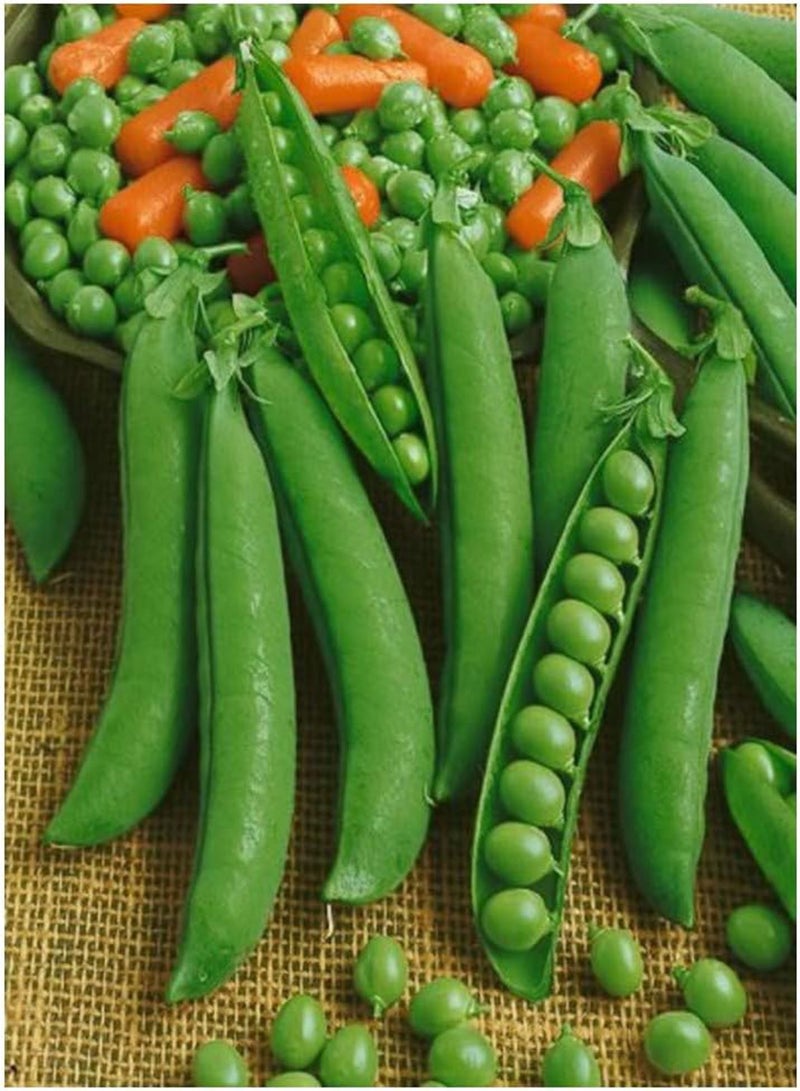 جي جوت بازلاء - تقدم رقم 9-250 (عضوي) - Image 1