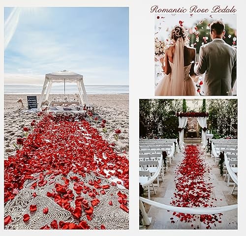 Pyrrhiax 1000Pieces Rose Petals, Artificial Flower Petals Fake Rose Petals for Romantic Night,Wedding,Proposal Anniversary Flower Decorations (Pink Gradient) - Image 4