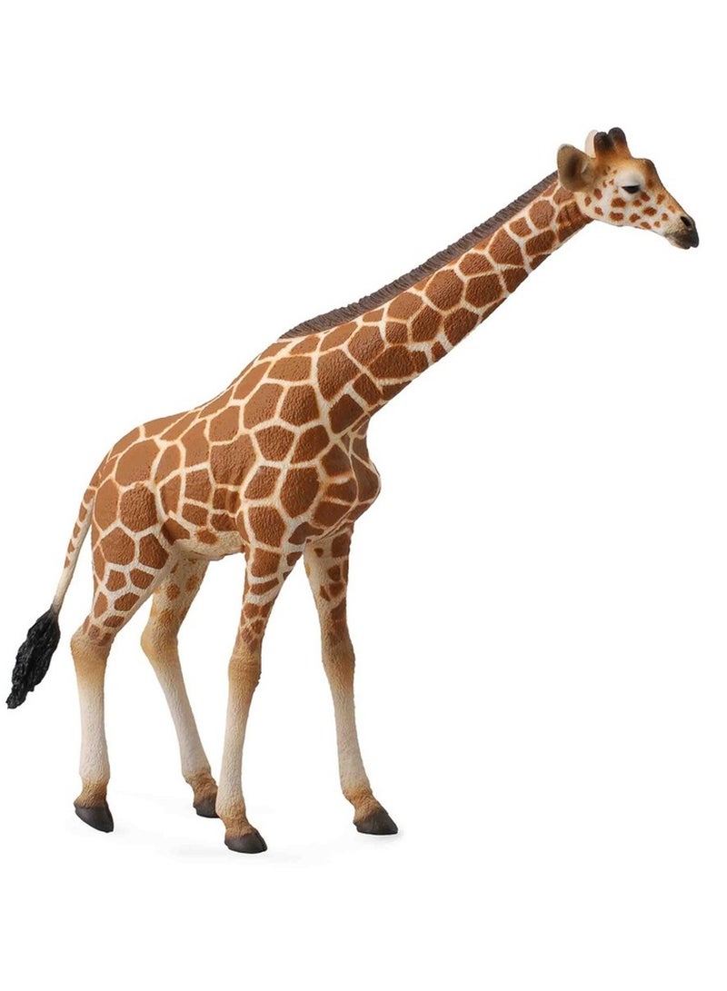 Collecta - Reticulated Giraffe - 88534