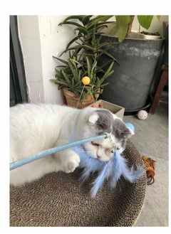 Y&D Teaser Cat Toy, 6 Pack Wands for Kittens Playing, Interactive With Feather and Bell Indoor Cats, Toys Kitten Training  - Image 5