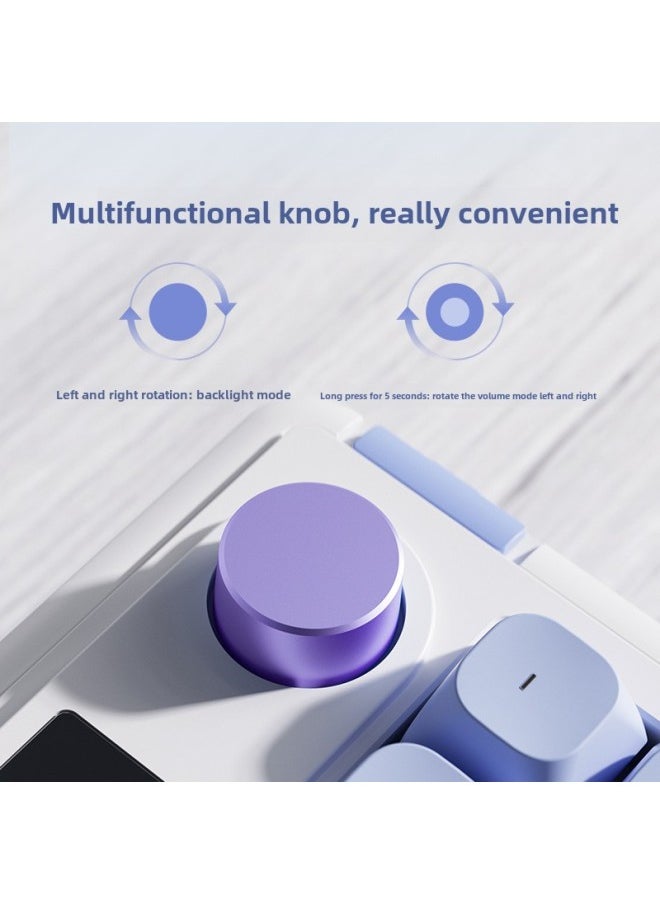 Langtu-L98 Three-model Wireless Bluetooth Mute Keyboard RGB Light Effect Wired Mechanical Feel E-sports Office Keyboard-Color:Snow Green [98 Key Three-mode Connection + Soft Elastic Structure + RGB Light Effect] LOGO Screen