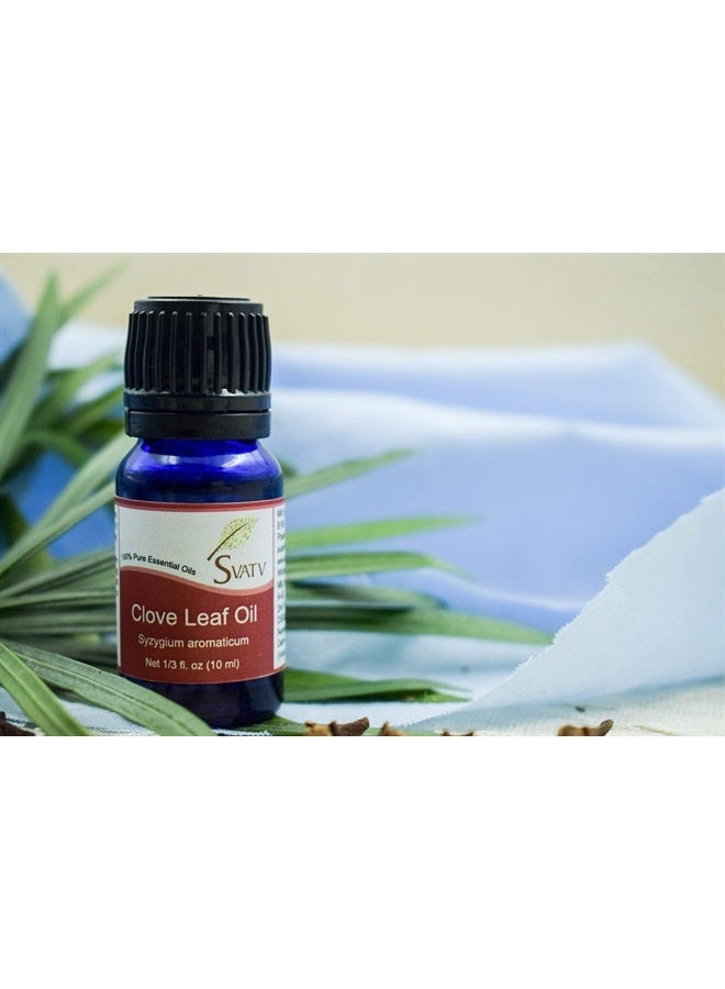SVATV Clove Leaf Essential Oil Therapeutic Grade Aromatherapy Oils Fragrance Oil for Diffuser Yoga Massage & DIY Personal Care 10 ml - Image 1