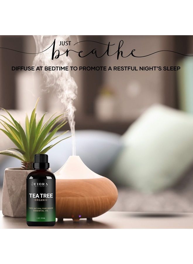 Fiora Naturals زيت شجرة الشاي الأساسي من فيورا ناتشورالز - زيت عضوي نقي 100%، للوجه، الشعر، البشرة، حب الشباب، فروة الرأس، القدمين والأظافر. - Image 4