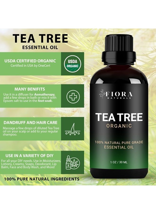 Fiora Naturals زيت شجرة الشاي الأساسي من فيورا ناتشورالز - زيت عضوي نقي 100%، للوجه، الشعر، البشرة، حب الشباب، فروة الرأس، القدمين والأظافر. - Image 5