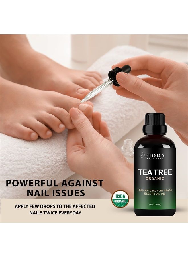 Fiora Naturals زيت شجرة الشاي الأساسي من فيورا ناتشورالز - زيت عضوي نقي 100%، للوجه، الشعر، البشرة، حب الشباب، فروة الرأس، القدمين والأظافر. - Image 3