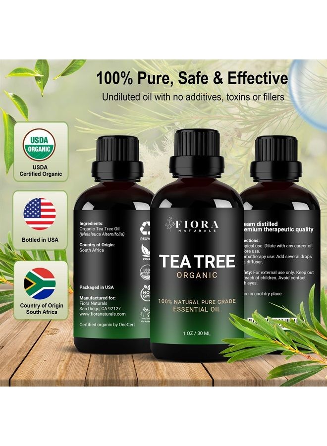 Fiora Naturals زيت شجرة الشاي الأساسي من فيورا ناتشورالز - زيت عضوي نقي 100%، للوجه، الشعر، البشرة، حب الشباب، فروة الرأس، القدمين والأظافر. - Image 2