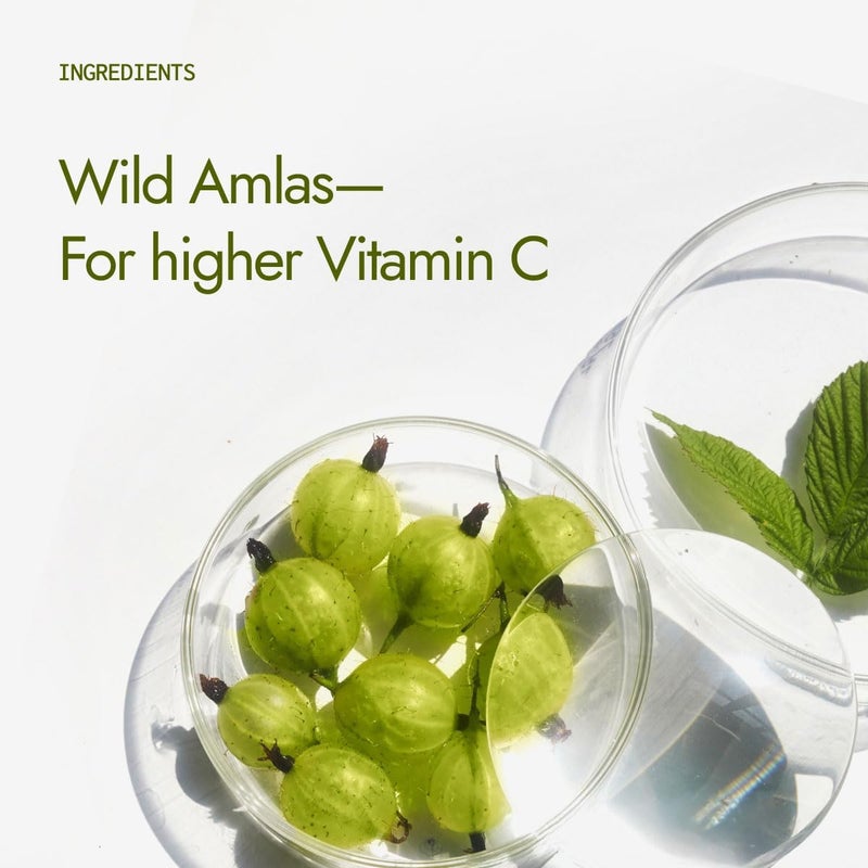 Kapiva Organic Amla Powder 100g | Supports Healthy Hair | Promotes Gut Health | From 100% Natural Amlas - Image 3