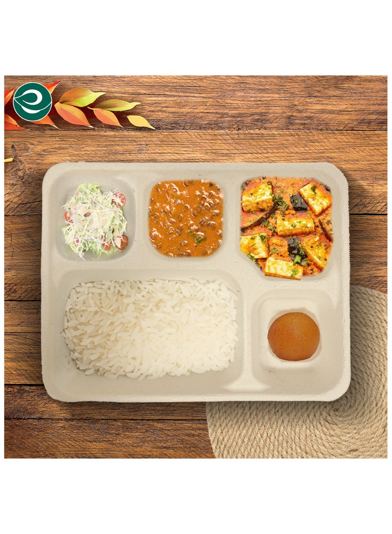 ECO SOUL 10 Piece Set - Bagasse Meal Tray with five Compartments, Organic, Disposable, Eco Friendly,  (Unbleached) - Image 4
