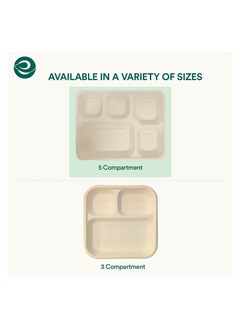 ECO SOUL 10 Piece Set - Bagasse Meal Tray with five Compartments, Organic, Disposable, Eco Friendly,  (Unbleached) - Image 3