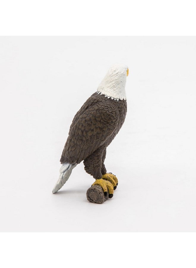 Papo - Sea Eagle - Realistic Figurine - for Ages 3+ - Wild Animal Kingdom Collection - Hand Painted - Highly Detailed - Durable and Educational - Gift Idea - Collectable - sea Eagle Toy - Image 5