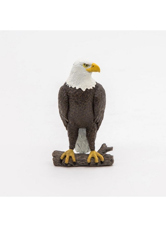 Papo - Sea Eagle - Realistic Figurine - for Ages 3+ - Wild Animal Kingdom Collection - Hand Painted - Highly Detailed - Durable and Educational - Gift Idea - Collectable - sea Eagle Toy - Image 3
