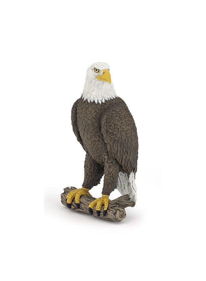 Papo - Sea Eagle - Realistic Figurine - for Ages 3+ - Wild Animal Kingdom Collection - Hand Painted - Highly Detailed - Durable and Educational - Gift Idea - Collectable - sea Eagle Toy - Image 1