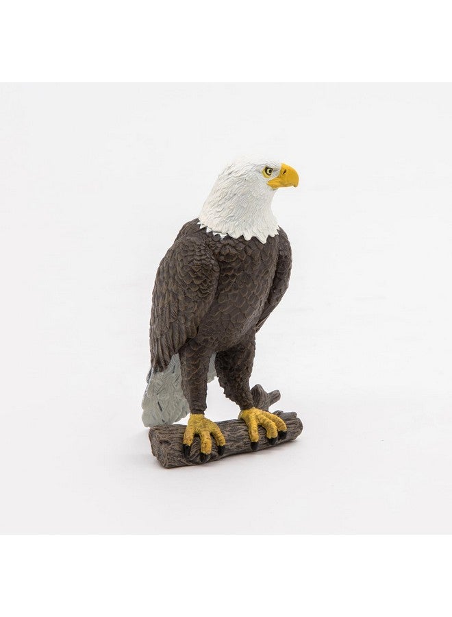 Papo - Sea Eagle - Realistic Figurine - for Ages 3+ - Wild Animal Kingdom Collection - Hand Painted - Highly Detailed - Durable and Educational - Gift Idea - Collectable - sea Eagle Toy - Image 4