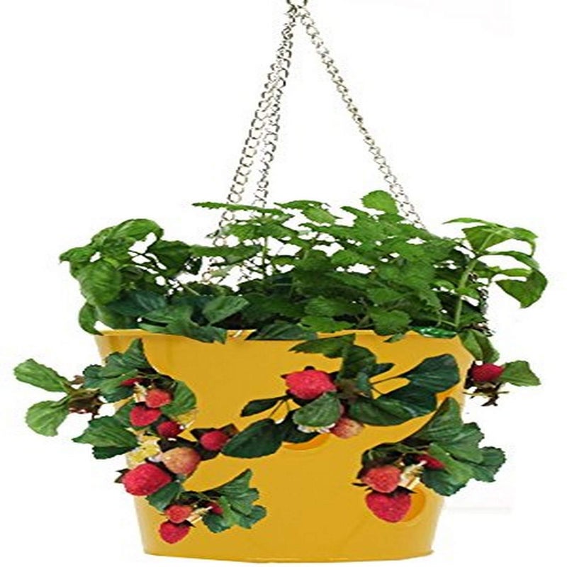 HIT 8396E SAFF Enameled Galvanized Hanging Strawberry Herb Floral Plante - Image 5
