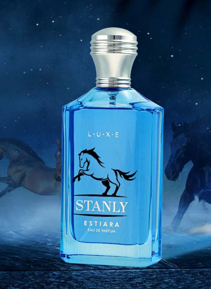 ESTIARA Stanly Eau De Parfum For Unisex 100ml - Image 3